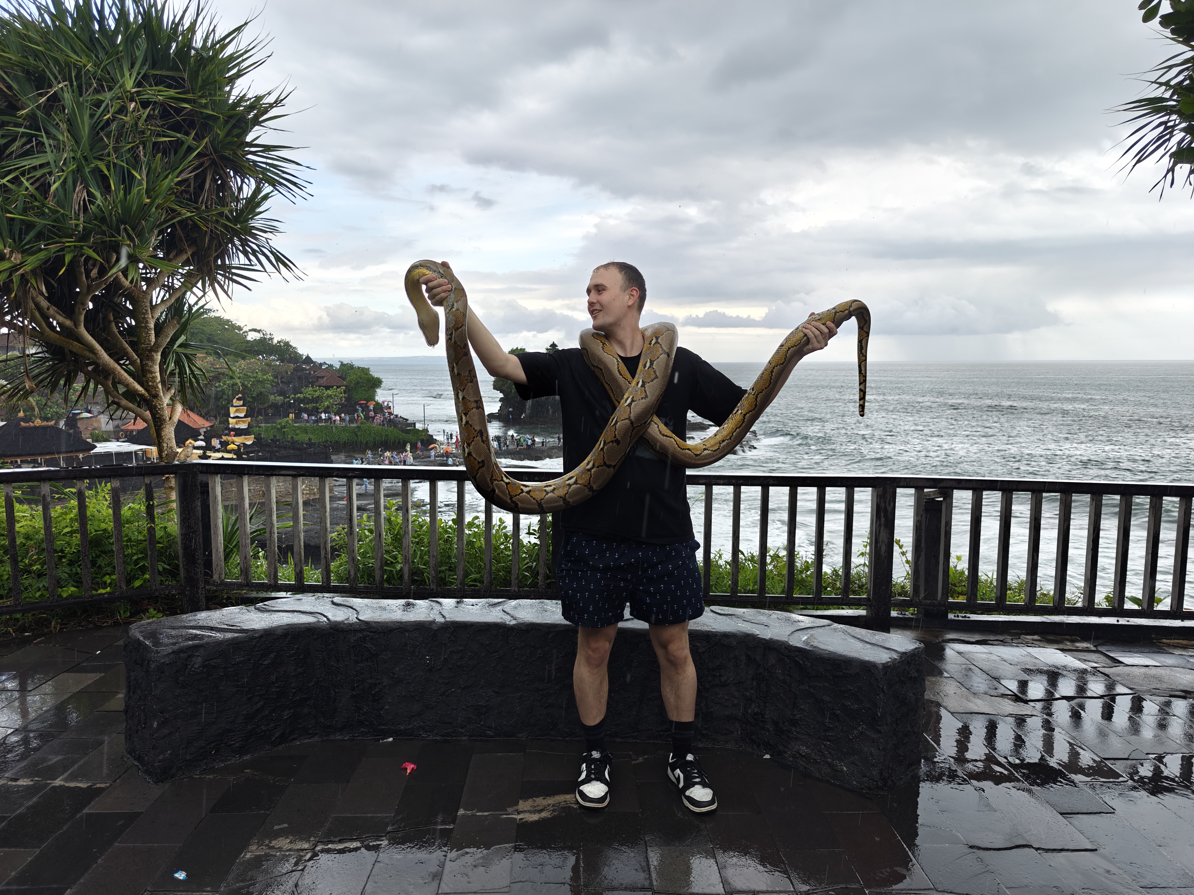 Bali retreat – Snake